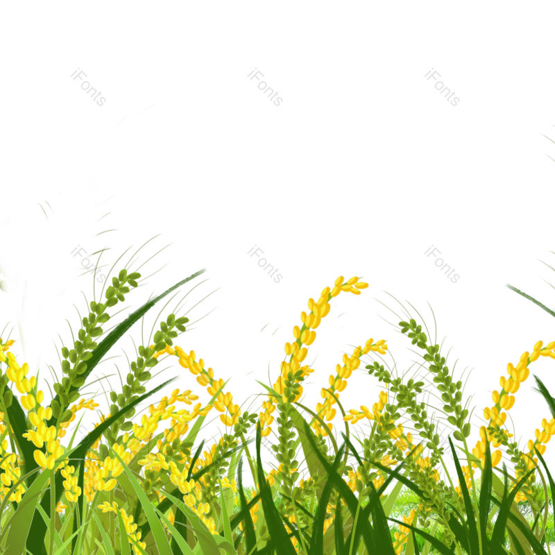 芒种图片,小满元素,麦子PNG,卡通插画免抠素材